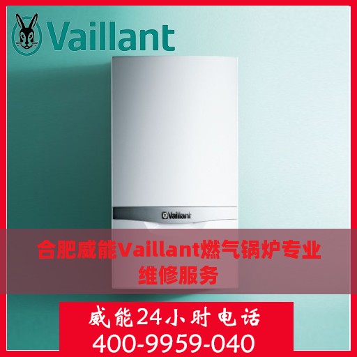 合肥威能Vaillant燃气锅炉专业维修服务