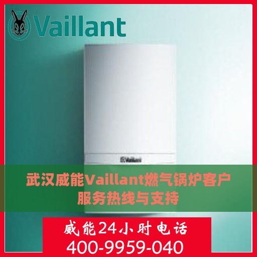 武汉威能Vaillant燃气锅炉客户服务热线与支持