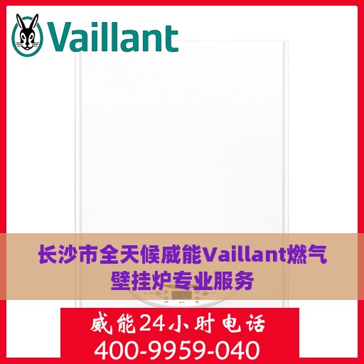 长沙市全天候威能Vaillant燃气壁挂炉专业服务