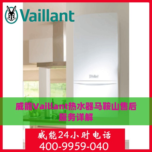 威能Vaillant热水器马鞍山售后服务详解