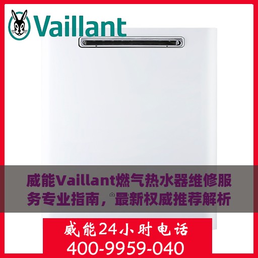 威能Vaillant燃气热水器维修服务专业指南，最新权威推荐解析