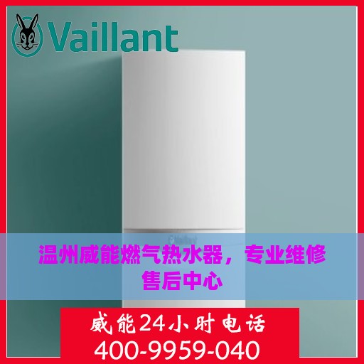温州威能燃气热水器，专业维修售后中心