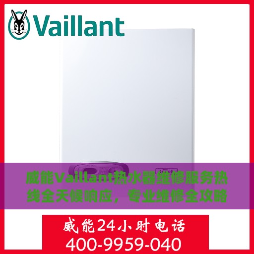 威能Vaillant热水器维修服务热线全天候响应，专业维修全攻略