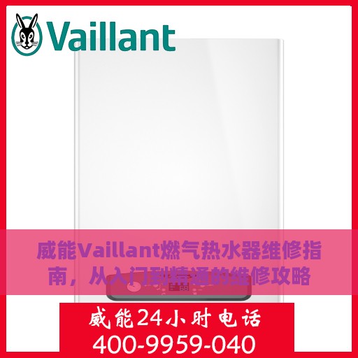 威能Vaillant燃气热水器维修指南，从入门到精通的维修攻略