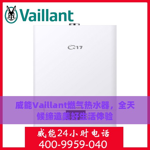 威能Vaillant燃气热水器，全天候缔造美好生活体验