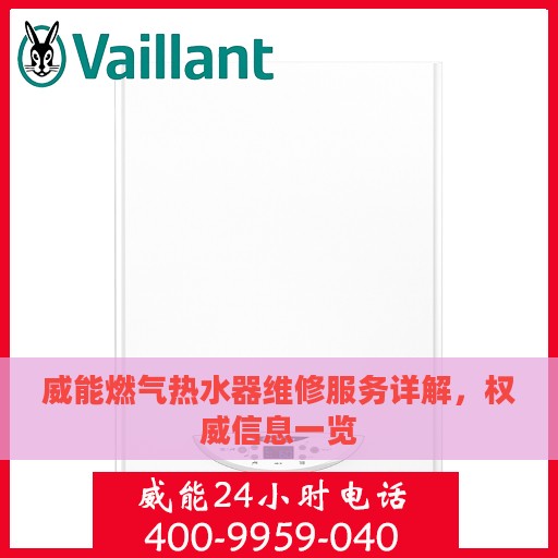 威能燃气热水器维修服务详解，权威信息一览