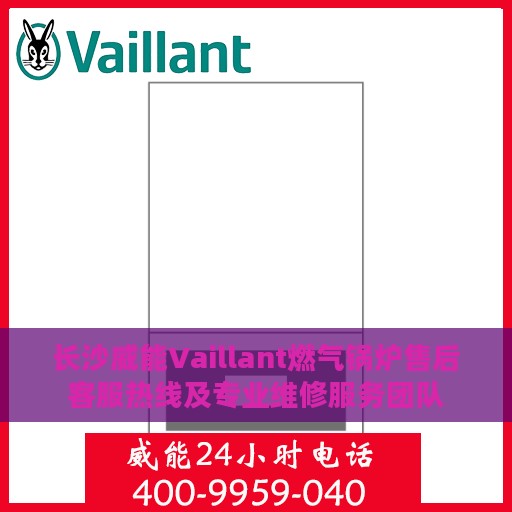 长沙威能Vaillant燃气锅炉售后客服热线及专业维修服务团队