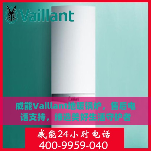 威能Vaillant地暖锅炉，售后电话支持，缔造美好生活守护者