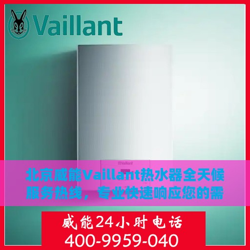 北京威能Vaillant热水器全天候服务热线，专业快速响应您的需求