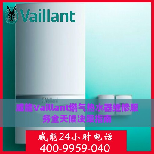 威能Vaillant燃气热水器维修服务全天候决策指南