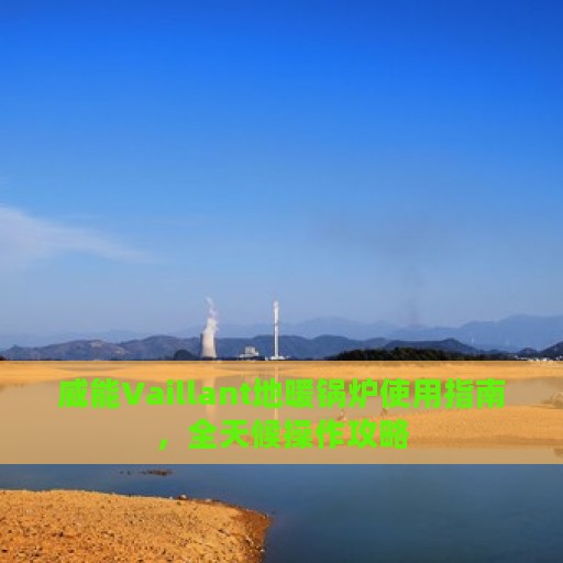 威能Vaillant地暖锅炉使用指南，全天候操作攻略