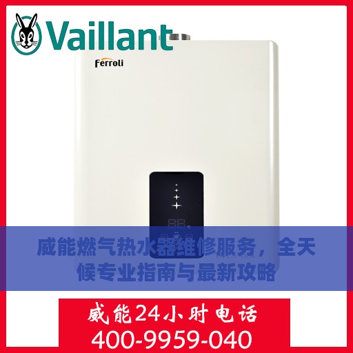 威能燃气热水器维修服务，全天候专业指南与最新攻略