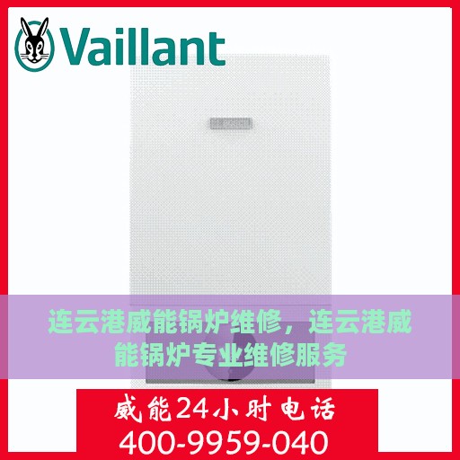 连云港威能锅炉维修，连云港威能锅炉专业维修服务