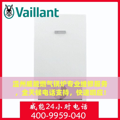 温州威能燃气锅炉专业维修服务，全天候电话支持，快速响应！