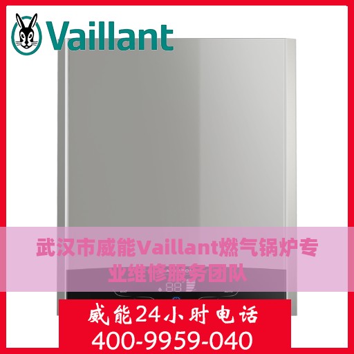 武汉市威能Vaillant燃气锅炉专业维修服务团队