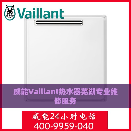 威能Vaillant热水器芜湖专业维修服务