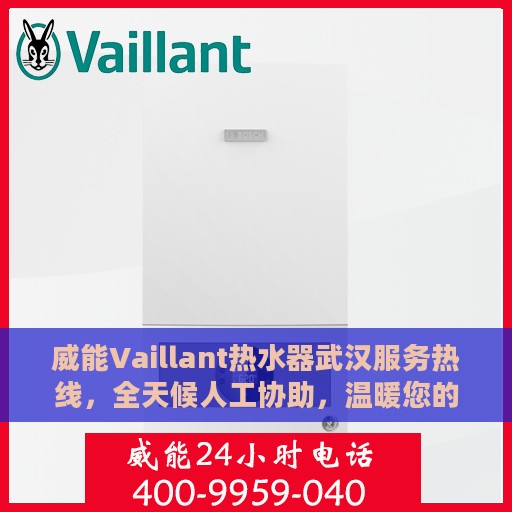 威能Vaillant热水器武汉服务热线，全天候人工协助，温暖您的生活