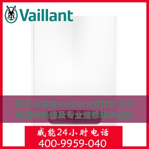 武汉市威能Vaillant壁挂炉全天候维修热线及专业维修服务团队