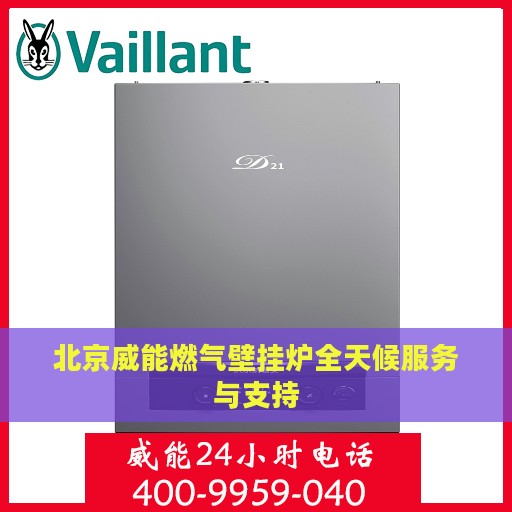 北京威能燃气壁挂炉全天候服务与支持