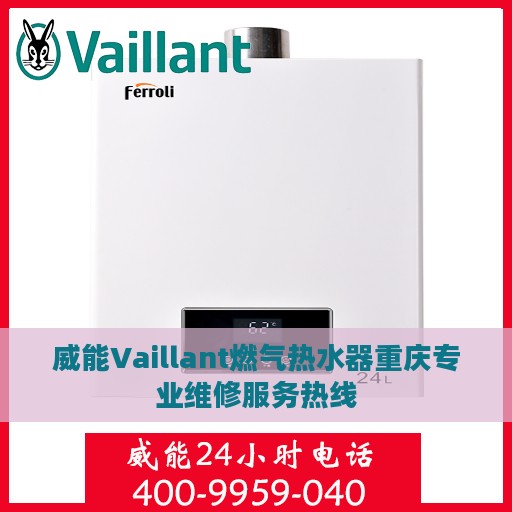 威能Vaillant燃气热水器重庆专业维修服务热线