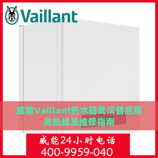 威能Vaillant热水器武汉售后服务热线及维修指南
