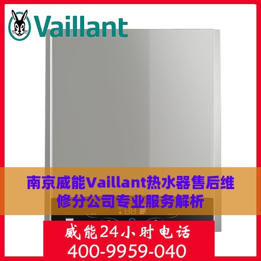 南京威能Vaillant热水器售后维修分公司专业服务解析