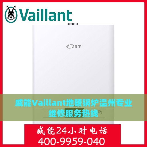 威能Vaillant地暖锅炉温州专业维修服务热线