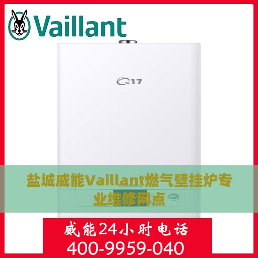 盐城威能Vaillant燃气壁挂炉专业维修网点