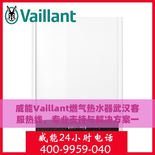 威能Vaillant燃气热水器武汉客服热线，专业支持与解决方案一站式服务