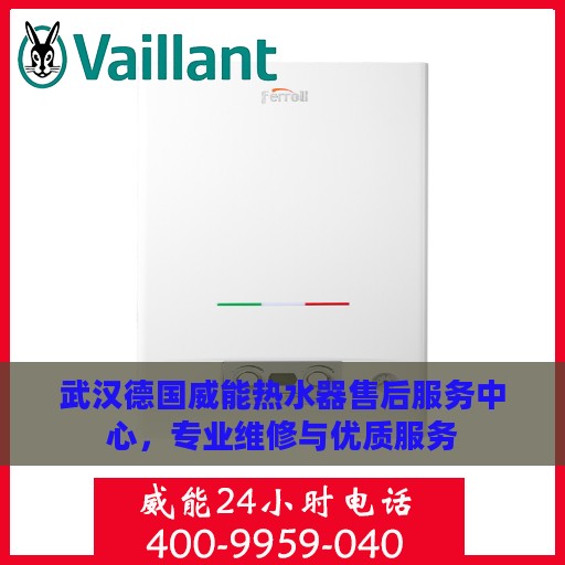 武汉德国威能热水器售后服务中心，专业维修与优质服务