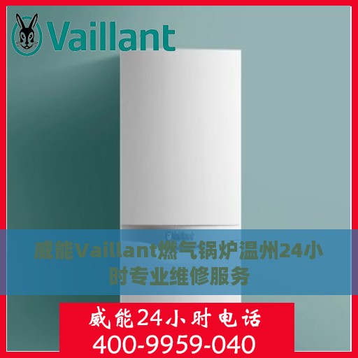 威能Vaillant燃气锅炉温州24小时专业维修服务