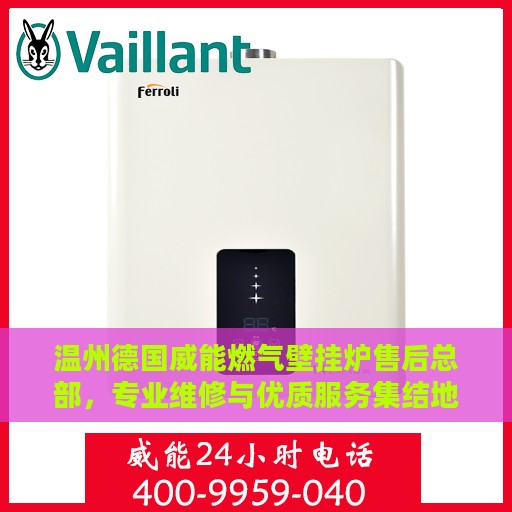 温州德国威能燃气壁挂炉售后总部，专业维修与优质服务集结地