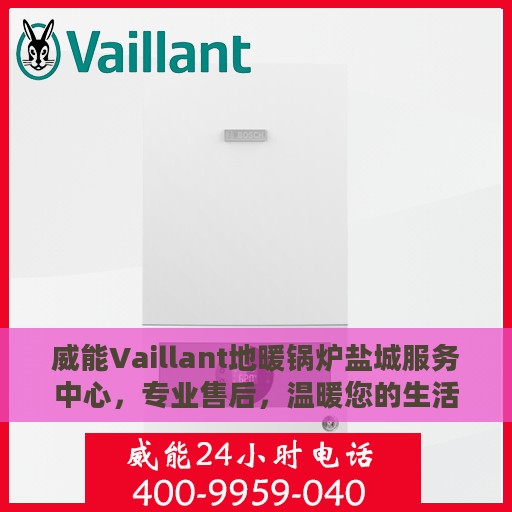 威能Vaillant地暖锅炉盐城服务中心，专业售后，温暖您的生活