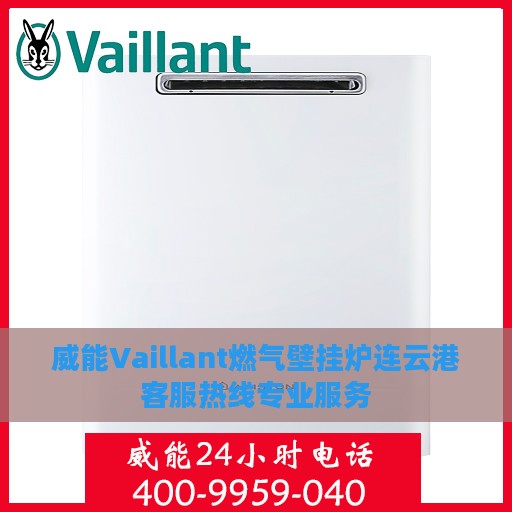 威能Vaillant燃气壁挂炉连云港客服热线专业服务