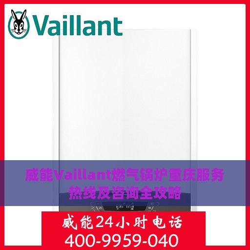 威能Vaillant燃气锅炉重庆服务热线及咨询全攻略