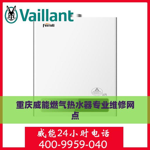 重庆威能燃气热水器专业维修网点