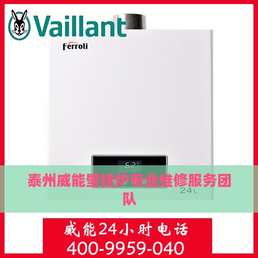 泰州威能壁挂炉专业维修服务团队