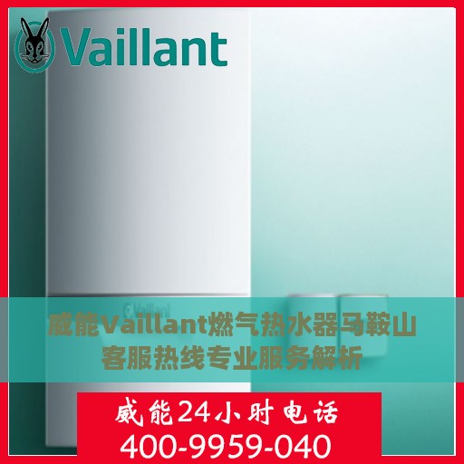 威能Vaillant燃气热水器马鞍山客服热线专业服务解析