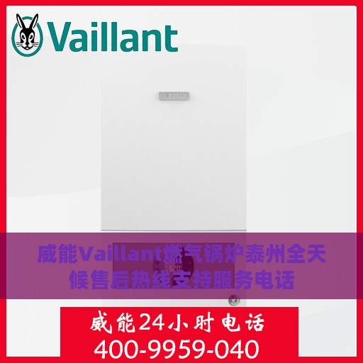 威能Vaillant燃气锅炉泰州全天候售后热线支持服务电话