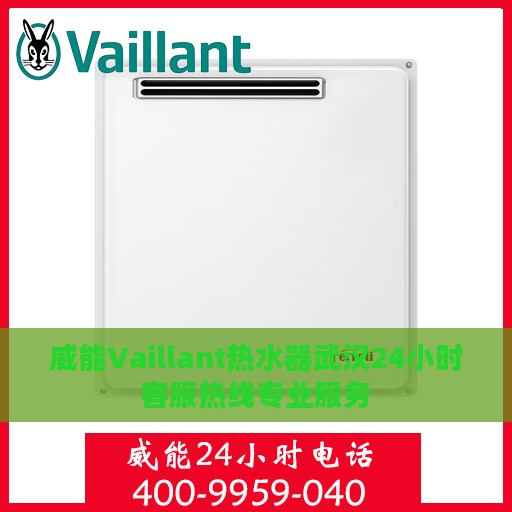 威能Vaillant热水器武汉24小时客服热线专业服务