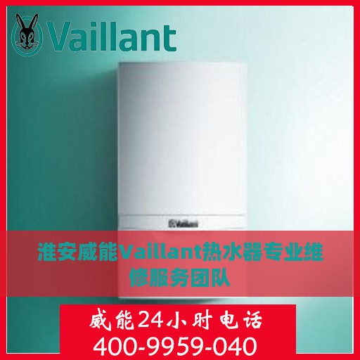 淮安威能Vaillant热水器专业维修服务团队