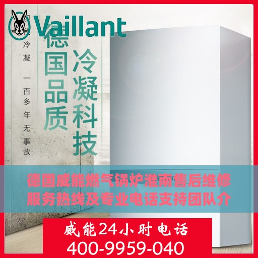 德国威能燃气锅炉淮南售后维修服务热线及专业电话支持团队介绍