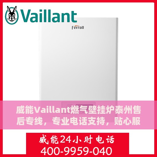 威能Vaillant燃气壁挂炉泰州售后专线，专业电话支持，贴心服务暖人心