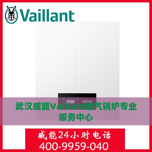 武汉威能Vaillant燃气锅炉专业服务中心