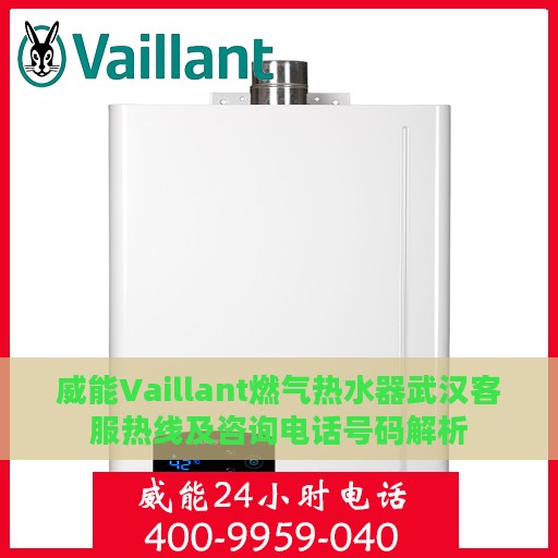 威能Vaillant燃气热水器武汉客服热线及咨询电话号码解析