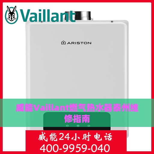 威能Vaillant燃气热水器泰州维修指南