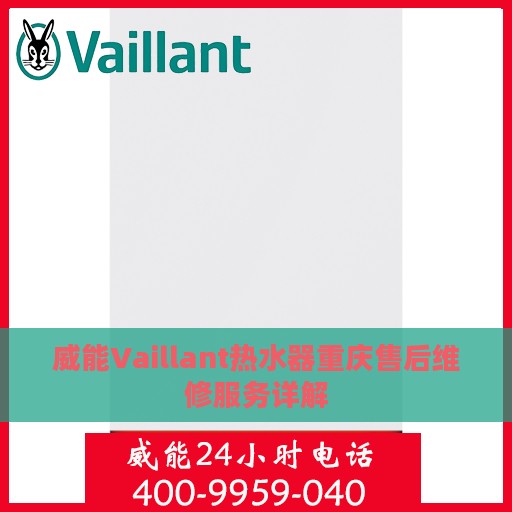 威能Vaillant热水器重庆售后维修服务详解