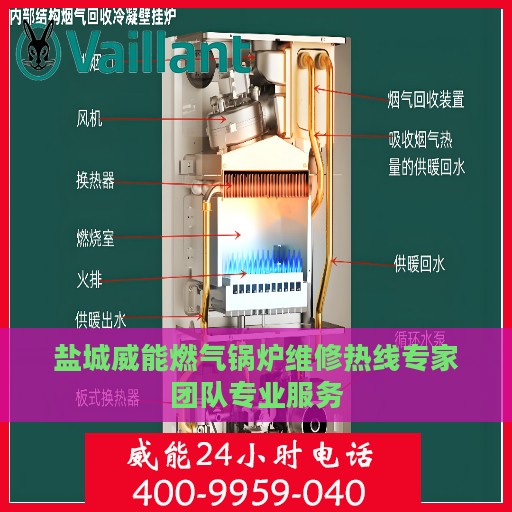 盐城威能燃气锅炉维修热线专家团队专业服务