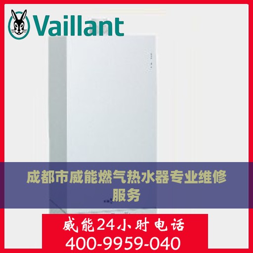 成都市威能燃气热水器专业维修服务