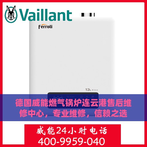 德国威能燃气锅炉连云港售后维修中心，专业维修，信赖之选